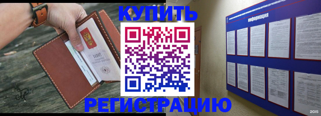 прописка в Щиграх